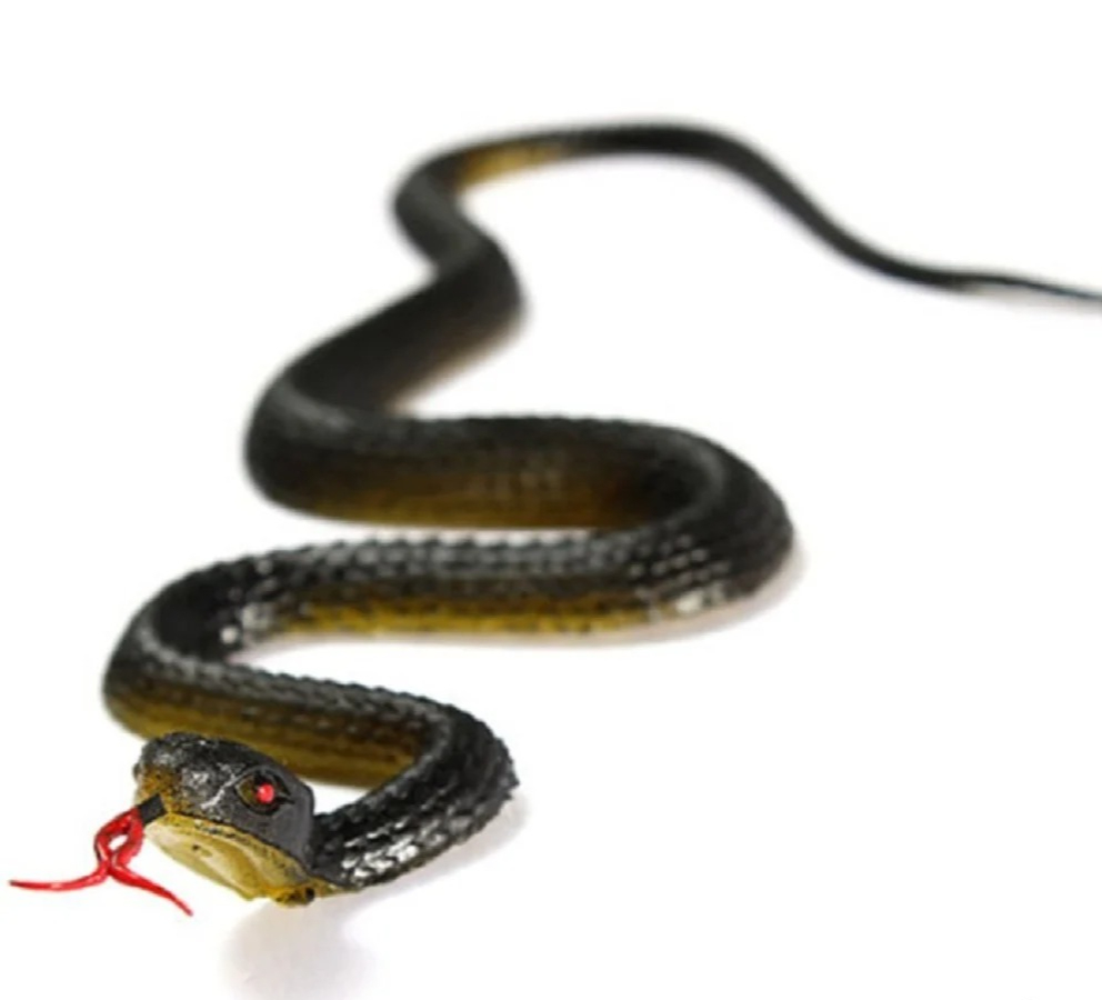 Serpiente de juguete de goma r - Prank Toys reseña y precio